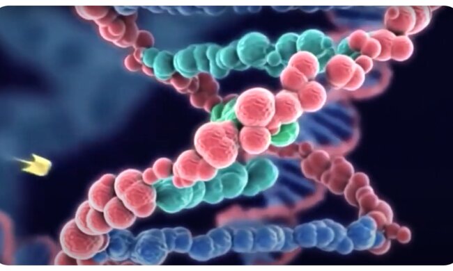 DNA. Quelle: Youtube Screenshot