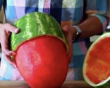 Wassermelone. Quelle: Screenshot YouTube