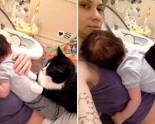 Die Katze liebte das Baby, bevor es geboren wurde, und jetzt beschützt sie es