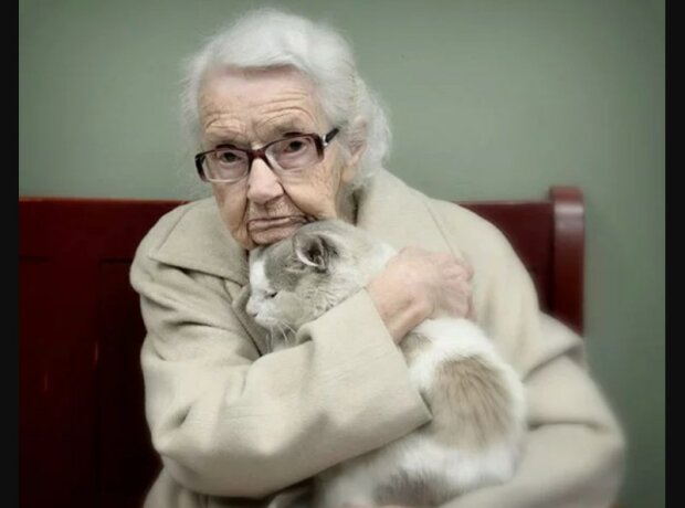Berührende Fotos von den alten Katzen, den gutherzige Menschen neue Familie schenkten