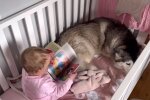 Husky mit dem Baby im Bett. Quelle: Youtube Screenshot