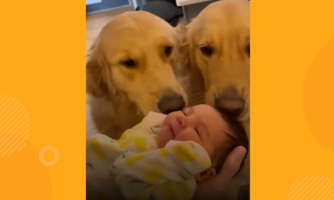 Eine unkonventionelle Bindung. Quelle: Youtube Screenshot