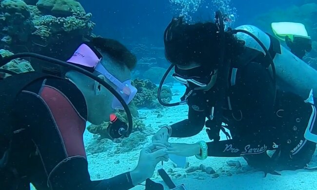 Mattia mach Fiona einen Heiratsantrag. Quelle: Screenshot Youtube