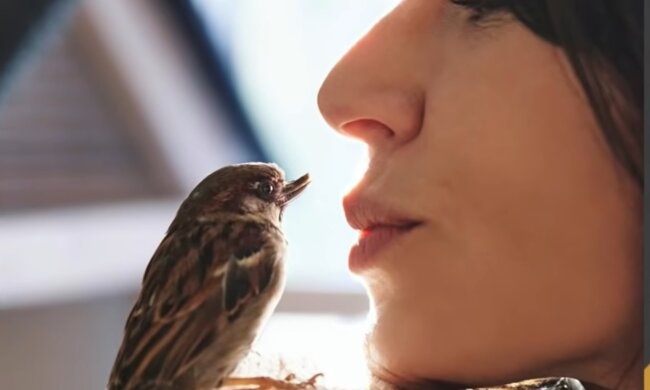 Wunderbares Haustier. Quelle: Screenshot YouTube