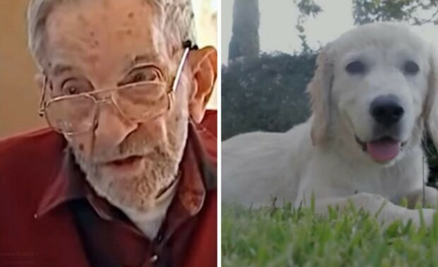 Gute Taten: Restaurantbesitzer hilft 93-jährigem Rentner und Hund rettet Frau aus Feuer