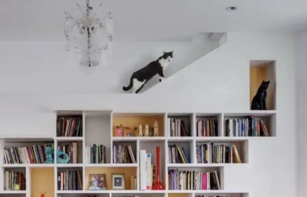 Katzenhaus: ein Ehepaar aus Brooklyn schuf das perfekte Interieur für ihre Tiere