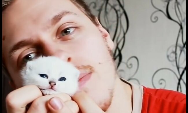 ГUnmöglich, dem Charme der Katze zu widerstehen