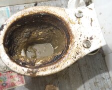 Fünf Jahre Dreck: Reinigungskraft bringt verwahrloste Toilette wieder zum Glänzen