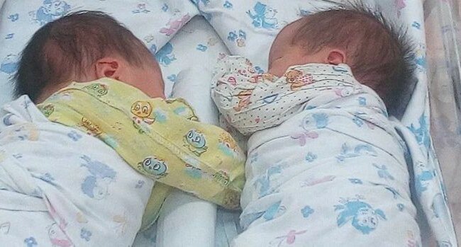 Biologische Eltern weigerten sich, Zwillinge von einer Leihmutter zu nehmen: Es wurde bekannt warum