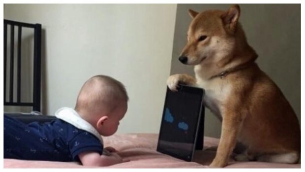 Das Baby und der Hund. Quelle: mimimetr.сom"