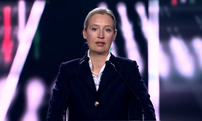 AfD im Fokus. Quelle: Youtube Screenshot