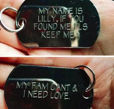 Sie hatte die Gravur auf dem Halsband des Tieres gelesen und wollte den Hund zurück an den Besitzer