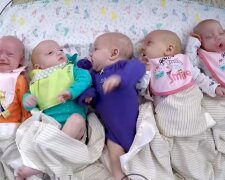 Fünf Neugeborene. Quelle: Youtube Screenshot