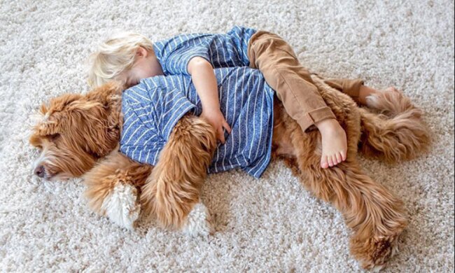 Hund ist der beste Freund eines Menschen: Junge und Welpe trennen sich nicht einmal beim Schlafen