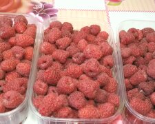 Himbeeren. Quelle: Youtube Screenshot