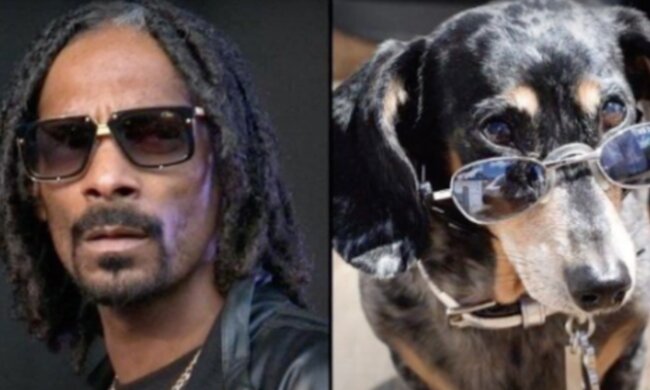 Snoop Dogg. Quelle: Screenshot YouTube