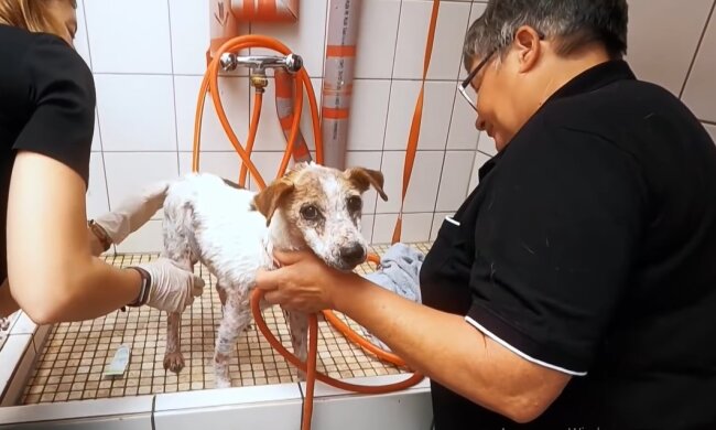 Denali. Quelle: Youtube Screenshot