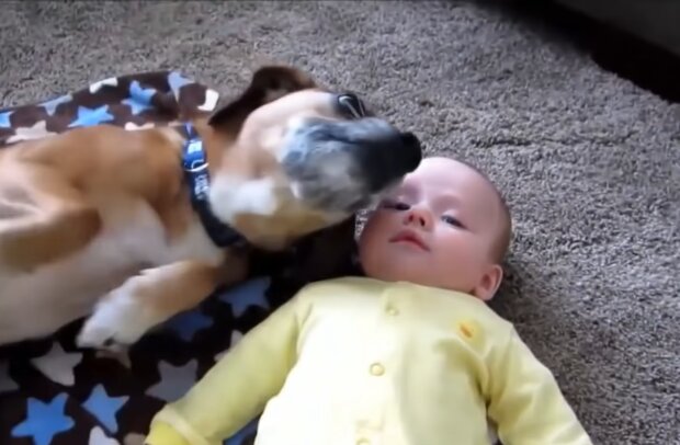 Baby mit dem Hund. Quelle: Screenshot Youtube