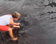 Der Junge füttert die Fische.Quelle: Youtube Screenshot
