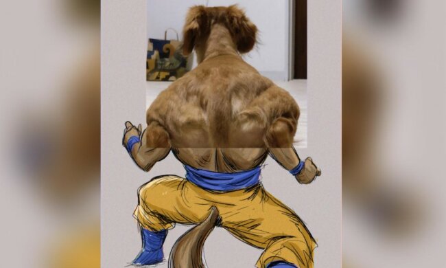 Die Besitzerin veröffentlichte ein Foto von ihrem Hund, auf dem er einem Bodybuilder ähnlich sieht