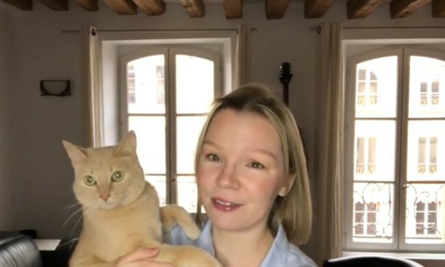 Brave Katze. Quelle: Youtube Screenshot