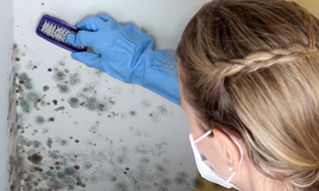 Eine gesundheitsbedrohende Situation. Quelle: Screenshot YouTube