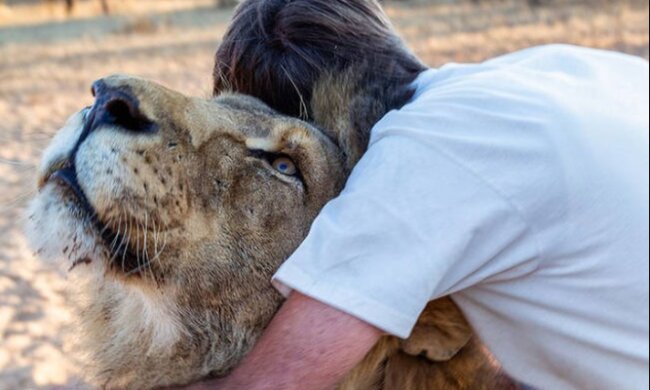 Eine Geschichte über Freundschaft zwischen einem Löwen Zion und einem Mann namens Fricky