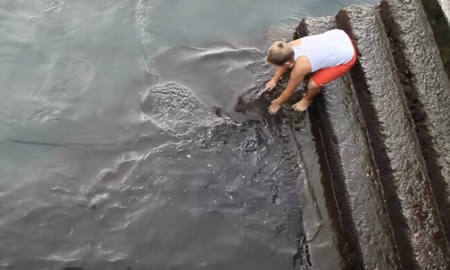 Ungewöhnlicher Freund. Quelle: Screenshot YouTube