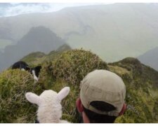 Tristan da Cunha Insel. Quelle: mirror.com