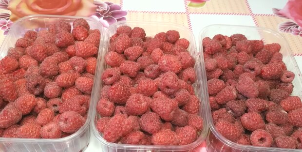 Himbeeren. Quelle: Youtube Screenshot