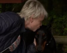 "Tut mir leid, dass ich dich nicht gerettet habe": Frau hilft Hunden in Erinnerung an ihr Haustier