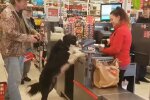 Hund im Supermarkt. Quelle: Youtube Screenshot