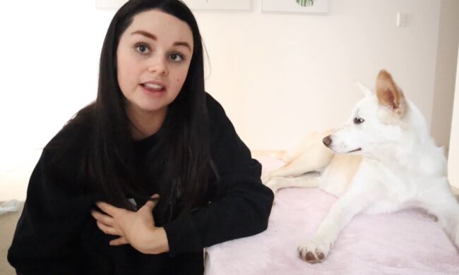 Border Collie rettet seiner Besitzerin das Leben. Quelle: Youtube Screenshot