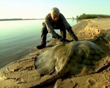 Wunderbare Natur in der Nähe. Quelle: Screenshot YouTube