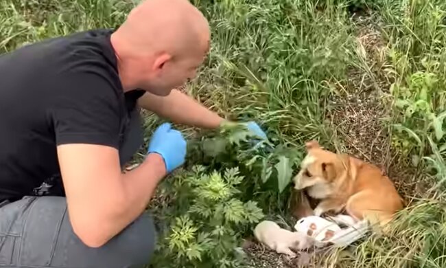 Lang ersehnte Hilfe. Quelle: Screenshot YouTube