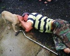 Menschen gingen gleichgültig an dem alten Mann vorbei, der auf dem Boden lag und nur der Hund versuchte, den Besitzer zu retten