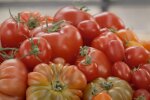 Wie nachhaltig ist die Tomate? Quelle: Youtube Screenshot