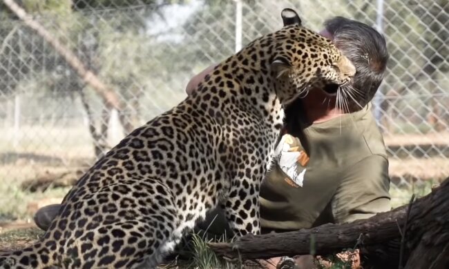 Tierarzt. Quelle: Screenshot YouTube