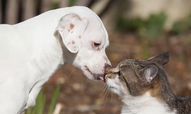 Freunde. Quelle: YouTube Screenshot