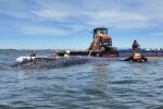 Rettungsdrama in der Ostsee. Quelle: Youtube Screenshot