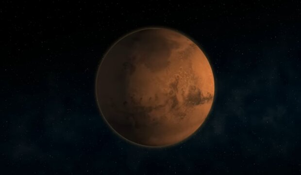 Außerirdisches Leben "zu 100 Prozent bestätigt": Rosa und grüne "Pflanze" auf dem Mars gefunden
