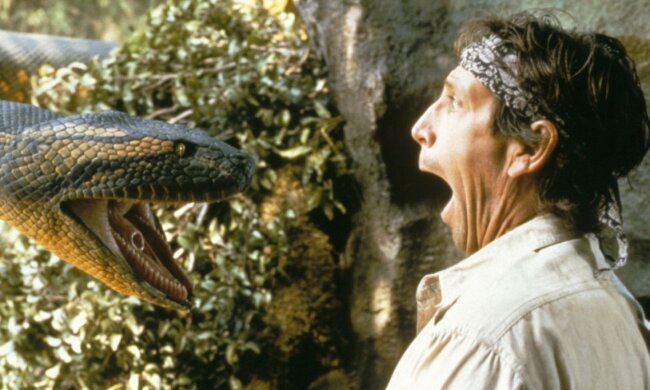 Wie eine Python einen Menschen verschluckt hat, Details