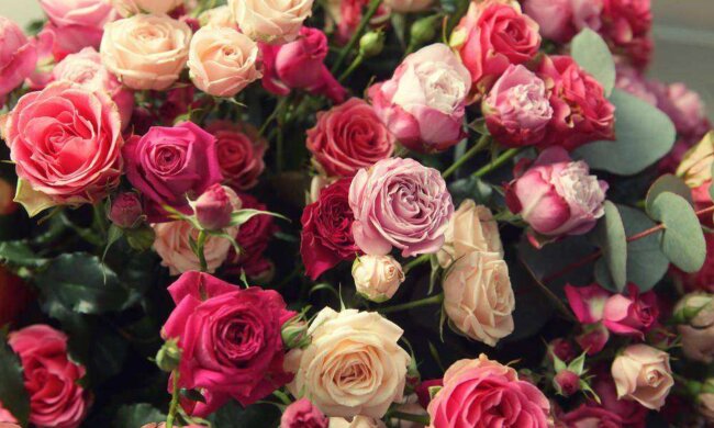 "Wie im Film": Eine Frau erhält Rosensträuße und Geschenke von ihrem Mann, der die Welt vor langer Zeit verlassen hat