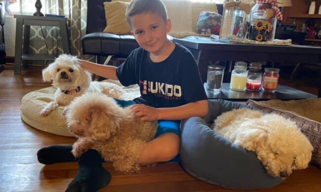 Ein adoptierter Junge nimmt aus einem Tierheim alte Hunde, die alle ablehnen