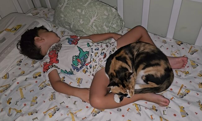 Kind im Katzenbett: Netz empört sich über verantwortungslose Eltern