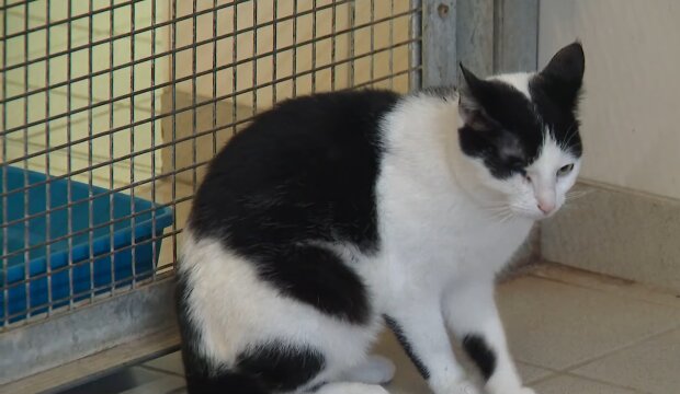 Liebe bleibt aus.. Quelle: Youtube Screenshot