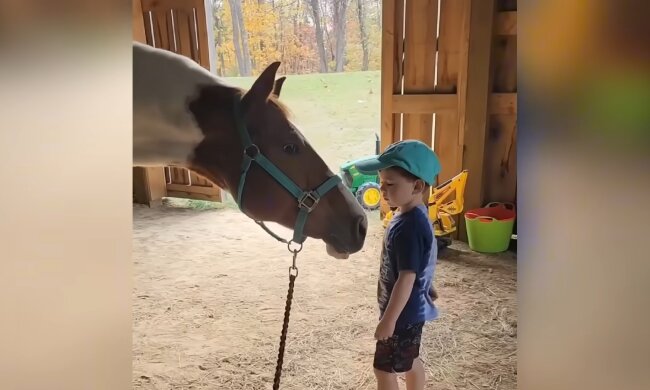 Emil und das Pferd Lenny. Quelle: Youtube Screenshot