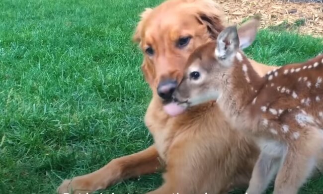 Echte Liebe. Quelle: Screenshot