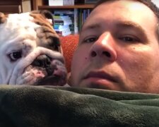 Englische Bulldogge. Quelle: YouTube Screenshot