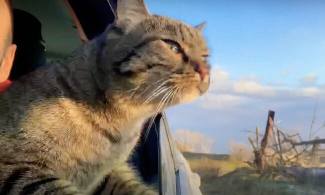 Reisekater. Quelle: Screenshot YouTube